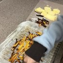디오티디아산멍멍이주유소 네이버블로그