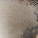 허니농장 이미지