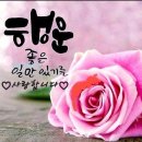 해나루 파크골프장 이미지