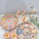 화과당 | 강남 설화과 | 서울 상견례 선물 화과자 추천 내돈내산