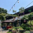 오아시스가든 | 충북 영동군)오아시스가든-깔끔하게 맛있는 천태산 송어회맛집