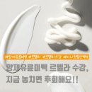 양재유륜미백 르멜라, 설명이 가능한 시술자가 결국 선택받습니다