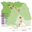 서울 도심서 숲속여행 이미지