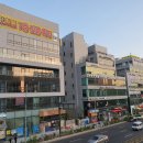 스타행정사 이미지