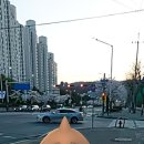 교문2동 행정복지센터 앞 이미지