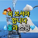 물과 소금 이미지