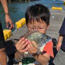 진월면 무료대여소 이미지