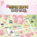 623 | 경남 사천4경 선진리성 벚꽃축제 조만간 시작하네요! 3월 27일 방문후기 축제기간 만개예상!