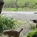 송화네민박 이미지