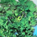 경신농약사 이미지