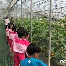 울산급식1센터 이미지