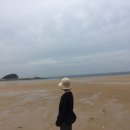 쑝이네 애견샵 | 태안 애견펜션) 넓은 수영장이 있는 &#34;개리비안베이&#34;