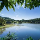 벽진면복지회관 이미지