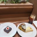 [홍대디저트카페 추천] 퀸아망 맛집 &lt;오퍼카페&gt; - 키슈와 레몬타르트, 초코브라우니 리얼 후기
