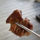 하릅펜션 | 가평 애견동반펜션 하릅펜션 재방문 후기(+자라섬꽃페스타)