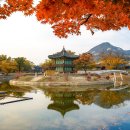 화성센트럴파크 도서관 | 서울 단풍 명소 주목! 압도적 1위를 차지한 가을 관광지 어디?