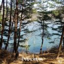 성주호 둘레길 독용산성길 코스 이미지