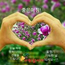 🌄24년 세계 불꽃 축제(대한민국 한강공원)🌄 이미지