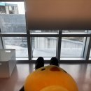 오가멍 | 강남 애교필러 내돈내산 솔직후기 1일차~일주일차 전후변화(멍없음)