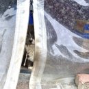 호야펫 | 다이소 반려동물 영양제 리베펫 내돈내산 급여 후기