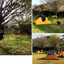 한산초등학교비진분교장 이미지