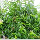 의성북부초등학교 이미지