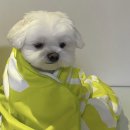 이상흠이비인후과의원 이미지