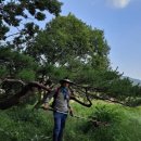 솔바우농장 이미지