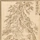 최루백 효자비각 이미지