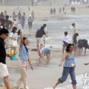 해운대해수욕장 이미지