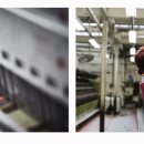 원단양농장 이미지