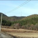 새섬리조트 이미지