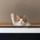 파리바게트 연제점 이미지