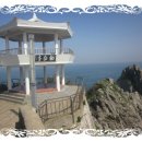 백도겸 카카오 검색결과