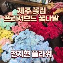 전지현플라워 프리저브드 플라워 뜻 제주꽃집 로즈데이 꽃다발 제주여행 후기