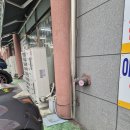 조야동식당 | 대구 북구 산격동 국밥집 하수구 막힘! 맨홀 가득 찬 붉은 기름 슬러지 완벽 제거
