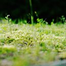 대지-생명 이미지