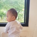 새봄커피숍