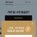 디케이메디 | 드디어 올리는 올리브영 추천 템 모음집