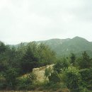 사이박천 이미지