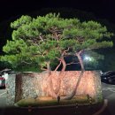 배티하우스 | [충주 골프장 추천] 아난티 중앙CC 3부 노캐디 라운딩 후기｜뷰는 최고, 실력은 다음 기회에🤣⛳