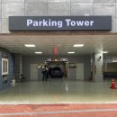 폭스호텔 | 대구 숙소 동성로 가성비 호텔 폭스 아트홀 조식 자세히 hotel fox