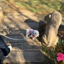 서동농장 | 태안 애견동반 당일치기 이대로만! [충청남도 블로그 콘텐츠 공모전]