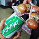 곡성집라인 이미지