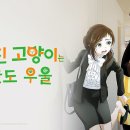 나만고양이없어 티스토리