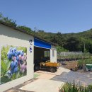 성곡농장 이미지