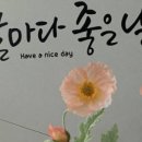 달콘스콘.D