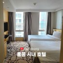에코메디 | 홍콩 시내 숙소 셩완 호텔 추천 에코트리