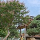 밀양향교작은도서관 이미지