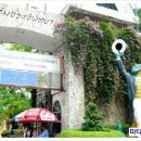 진자농장 이미지